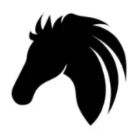 BuyVM's company icon